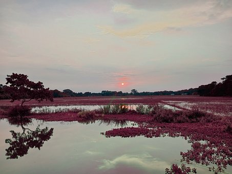 Atardecer, Naturaleza, Cielo, Paisaje