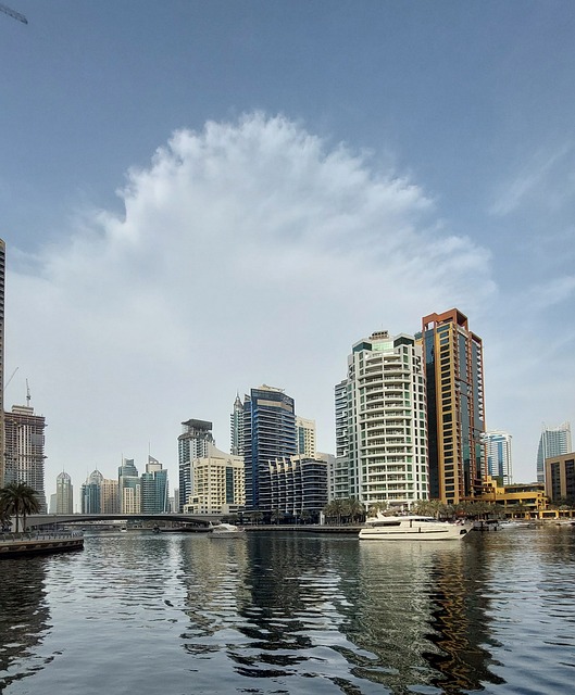 Free Skyscraper River photo and picture