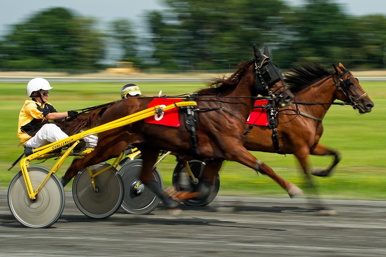 9,000+ Free Chariot Race & Chariot Photos - Pixabay