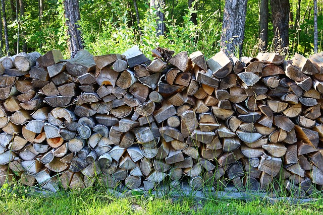 Free Firewood Logpile photo and picture