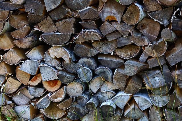 Free Firewood Woodpile photo and picture