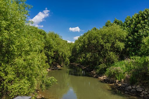 Sommer, Natur, Himmel, Wald, Straße
