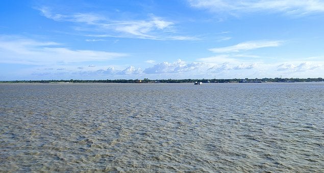 Padma, Natur, Flod, Landskab, Vand