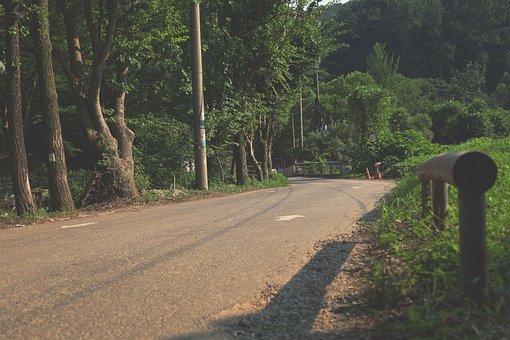 Sommer, Natur, Grøn, Udendørs, Motorvej