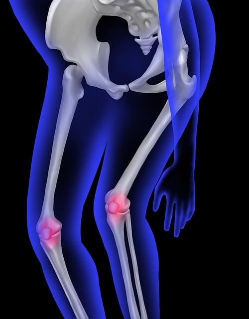 Free Human Bone Anatomy photo and picture