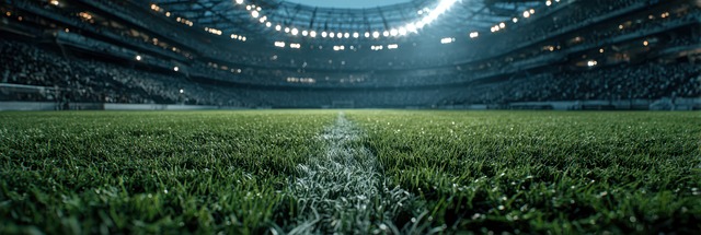 Free Soccer Stadium illustration and picture