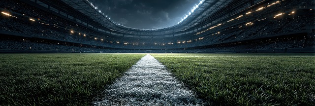 Free Soccer Stadium illustration and picture
