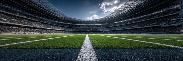Free Stadium Fans illustration and picture
