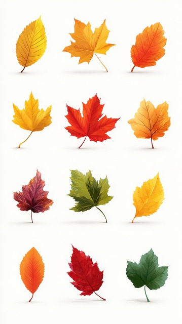 Free Autumn Leaves Colorful Leaves illustration and picture