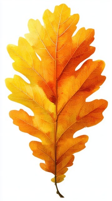 Free Fall Colors Yellow illustration and picture