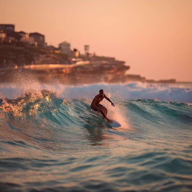 Free bondi sydney australia illustration