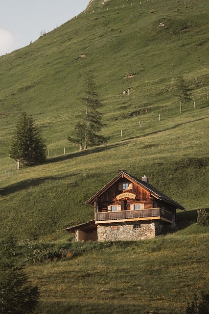 Free Mountain Cabin Alpine House photo and picture