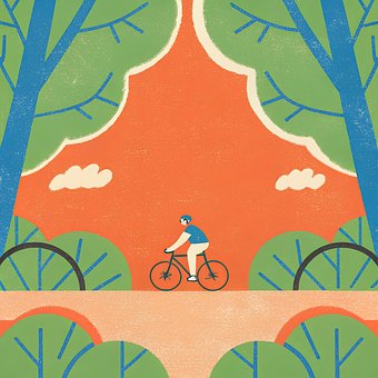 Natur, Blatt, Grün, Fahrrad, Pflanze