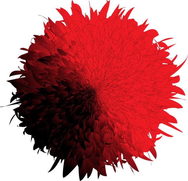 Florecer, Flores, Bloom