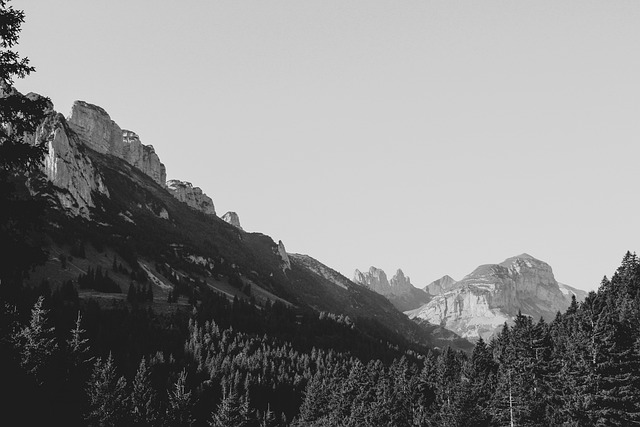 Free Switzerland Mountains photo and picture