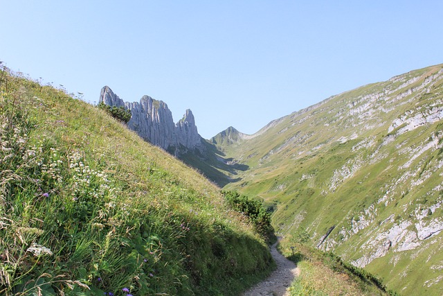 Free Switzerland Mountains photo and picture