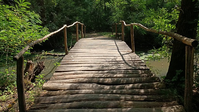 Houten Brug, Brug, Hout, Natuur