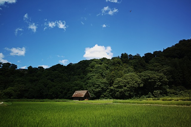 Free Shirakawa-Go Gassho-Zukuri photo and picture