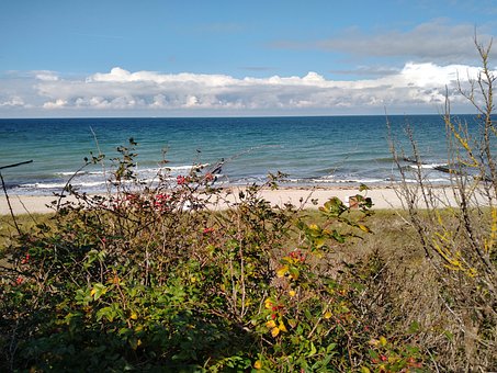 Free Baltic Sea Beach photo and picture