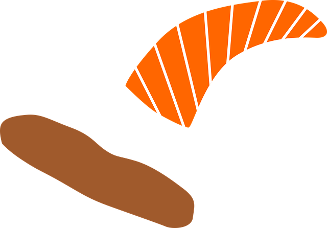Free sushi salmon rice vector