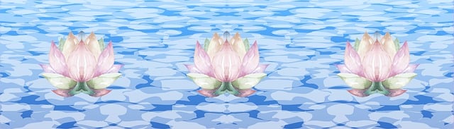 Banner, Header, Seerose, Teich, Natur