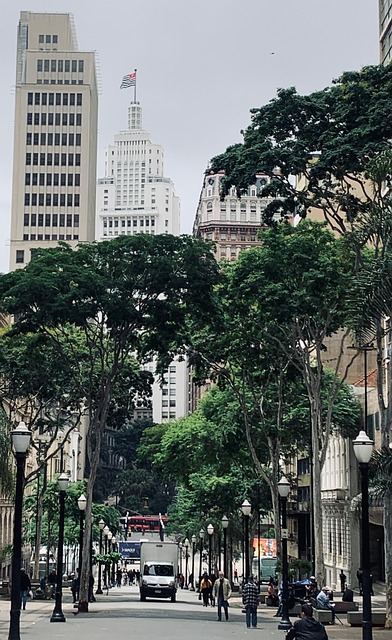 Free Sampa Sp photo and picture