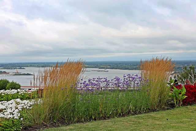 Russland, Volga, August, Die Natur
