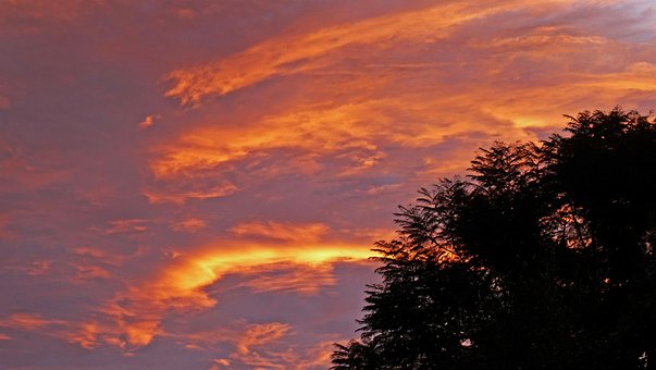 Solnedgang, Skyer, Aften, Natur