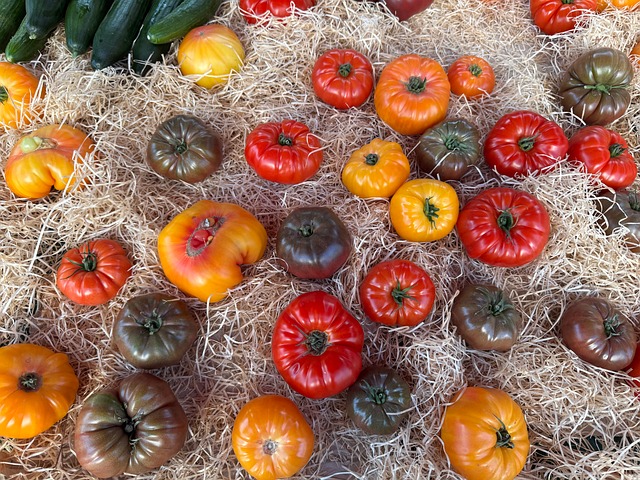 Free Vegetables Tomatoes photo and picture