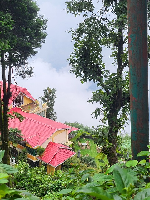 Free Darjeeling Hill Station photo and picture