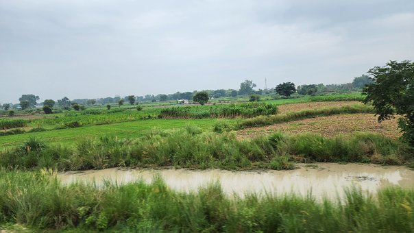 Free Nature Landscape photo and picture