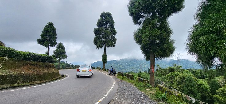 Free Darjeeling Road Trip photo and picture