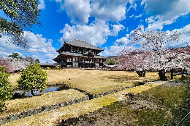 Japón, Nara, Templo, Venado, Viaje