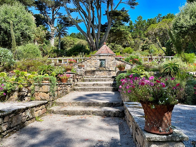 Jardín, El Verano, Tresco