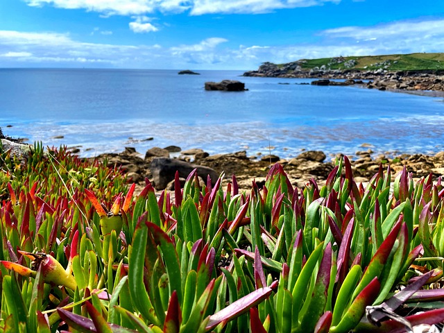 Maliciosamente, Cornwall, Tresco, Mar