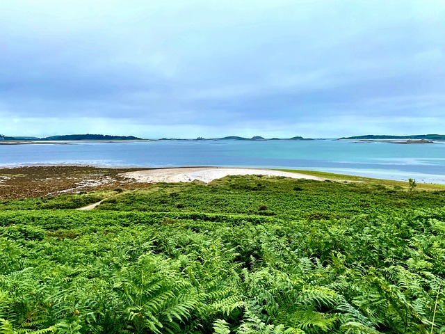 Maliciosamente, Cornwall, Tresco, Mar