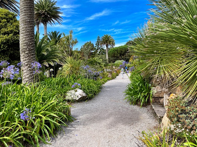 Tresco, Cornwall, Maliciosamente