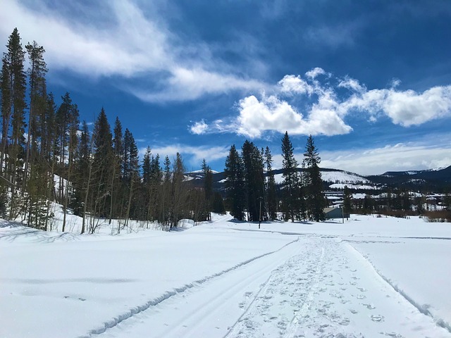 Free Colorado Nature photo and picture