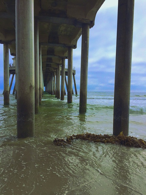 Free Pier Landscape photo and picture