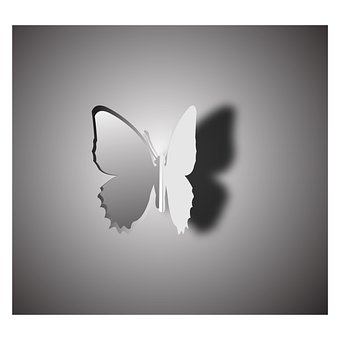Natureza, Insetos, Magia
