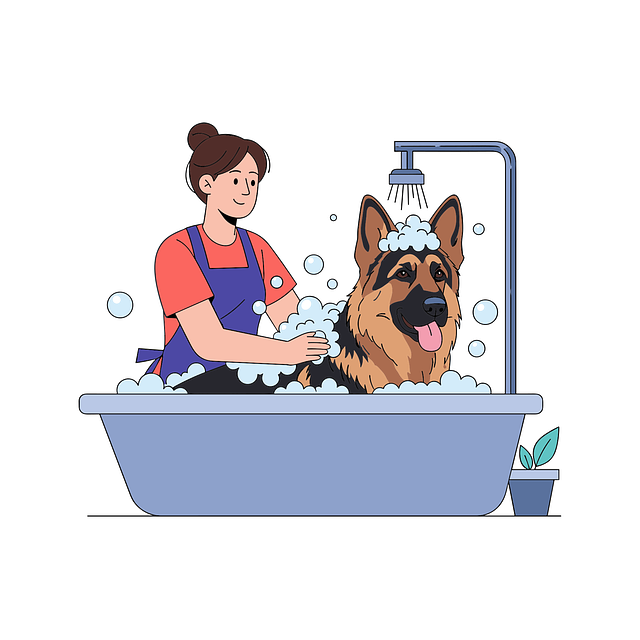 Free dog german shepherd nature vector