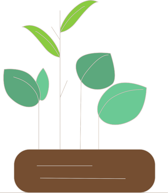 Free Nature Leaves vector and picture