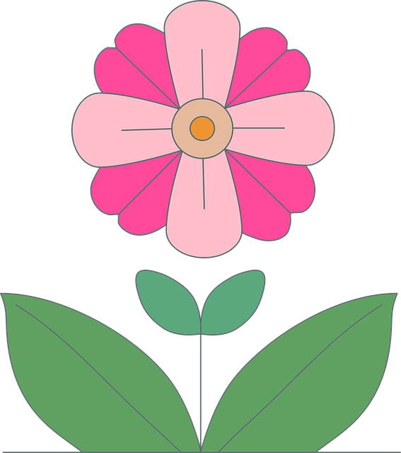 Free Flower Nature vector and picture
