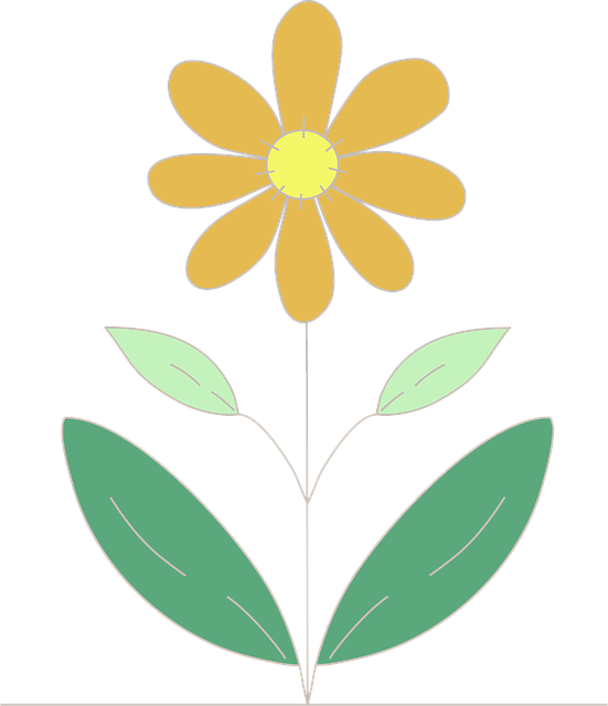 Free Flower Nature vector and picture