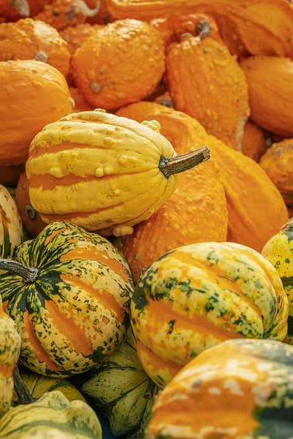 Gourd, pumpkin, fall and autumn decoration — photo by Couleur