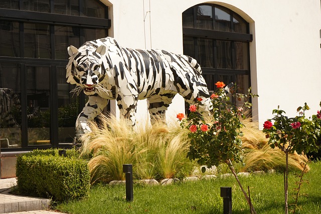 Free Tiger Big Cat photo and picture