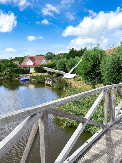 Free Netherlands Holland photo and picture