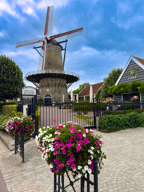 Free Netherlands Holland photo and picture