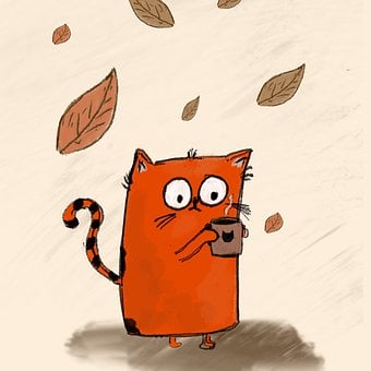 Katze, Kätzchen, Herbst, Kaffee, Koffein