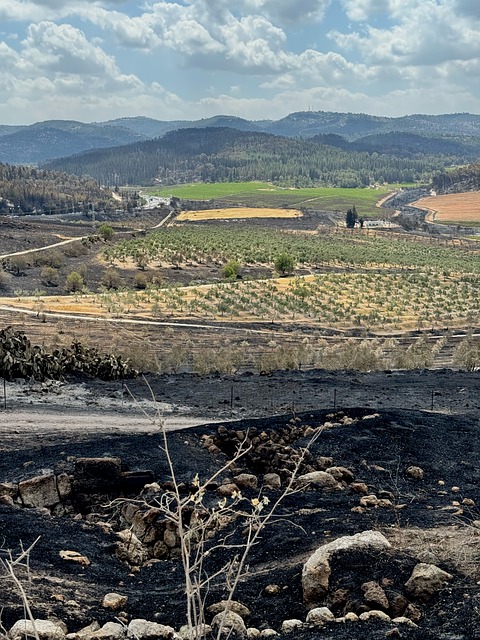 Free Judea Fire photo and picture